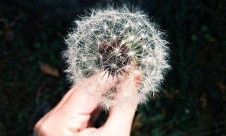allergy-mental-health-4